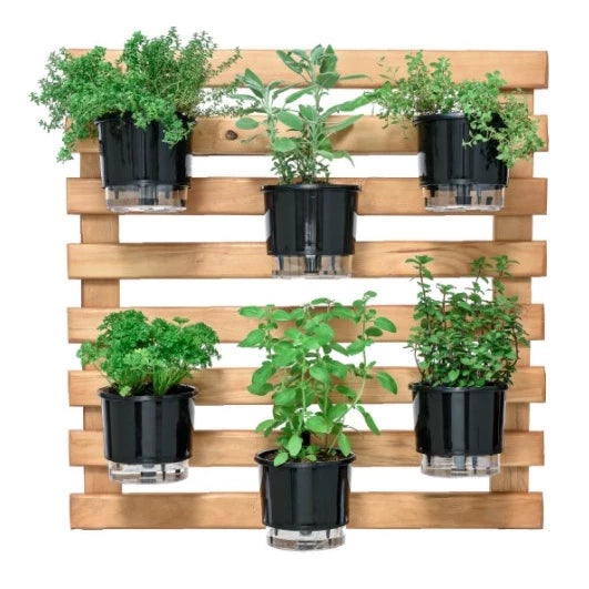 Vaso para Plantas Autoirrigável Anti Dengue Decora Lar